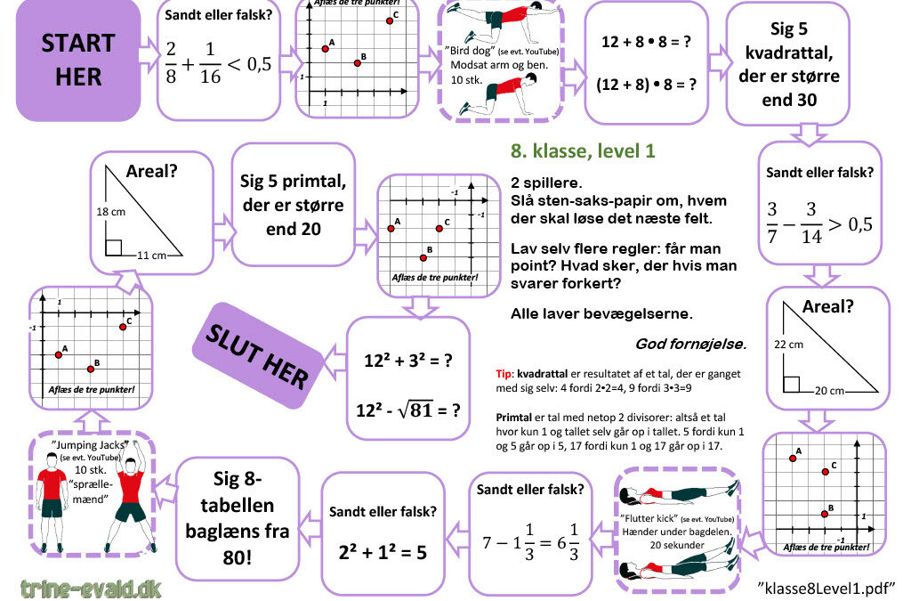 8. klasse, Level 1