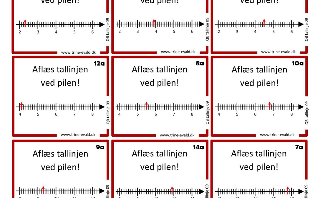 Q&B, Tallinje 09