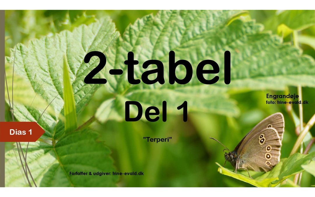 2-tabel, del 1