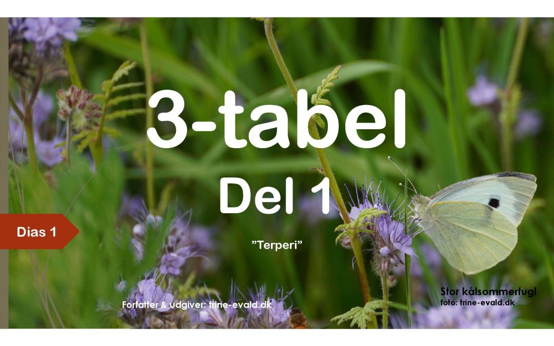 3-tabel, del 1