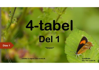 4-tabel, del 1