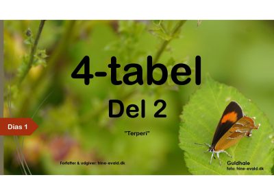 4-tabel, del 2