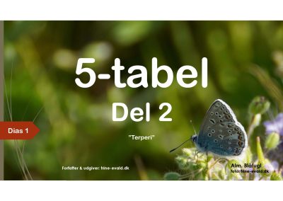 5-tabel, del 2