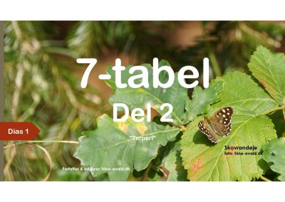 7-tabel, del 2